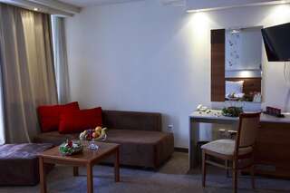 Отель Hotel Forum София Двухместный номер Делюкс с 2 отдельными кроватями и диваном-кроватью - Бесплатная поздняя регистрация отъезда-8